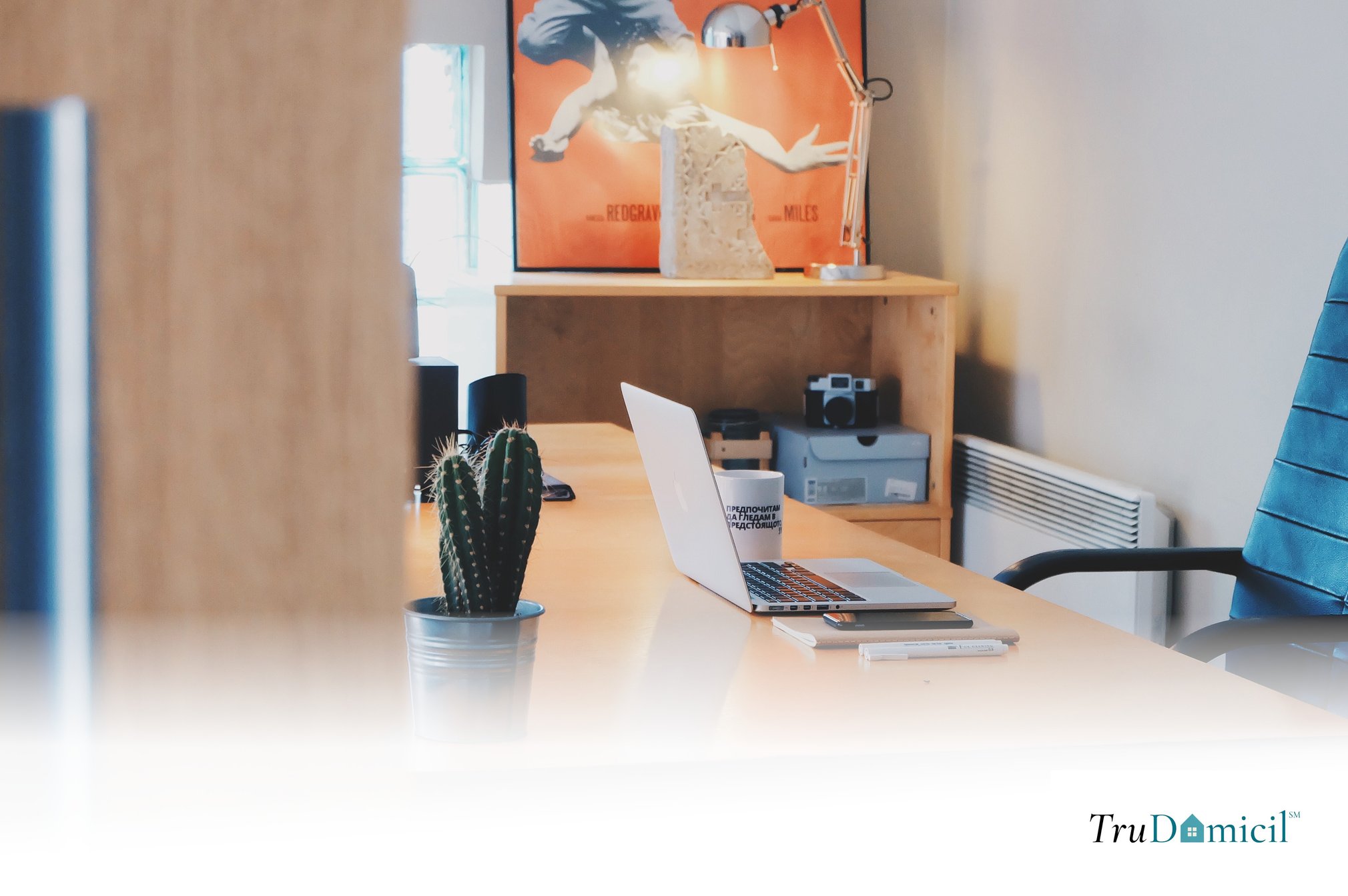 Empty office_TruDomicil